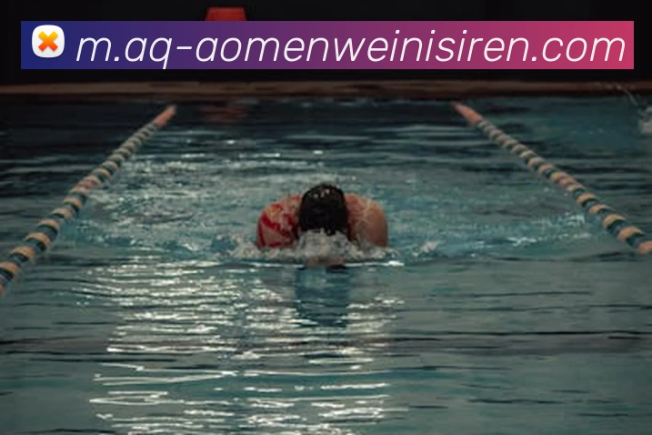 多媒体互动体验